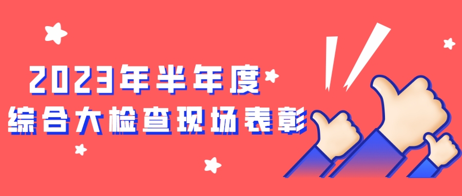 强化专业技能，推动公司标准化管理——2023年半年度综合大检查现场表彰