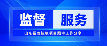 监督+服务，助力工程提质增效——山东裕龙杭氧项目跟审工作分享