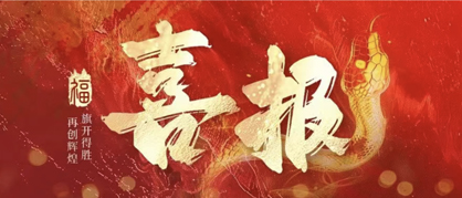 实力绽放，再创佳绩——德