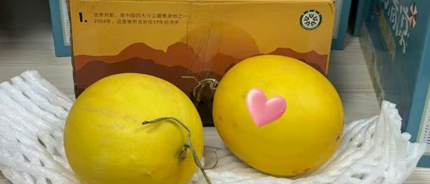 一份慰问，两份荣誉，让绿